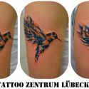 Tattoo Vogel auqarell:Bird aquarelle.jpg